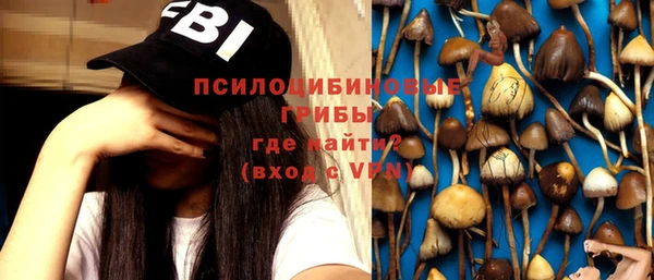 прущие крисы Абинск