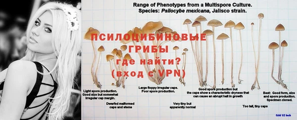 гашишное масло Абаза