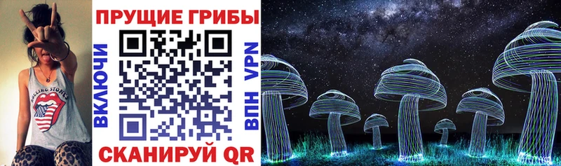 Псилоцибиновые грибы Cubensis  блэк спрут как зайти  Болхов 